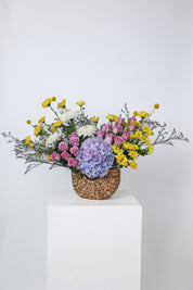 A Burst of Spring