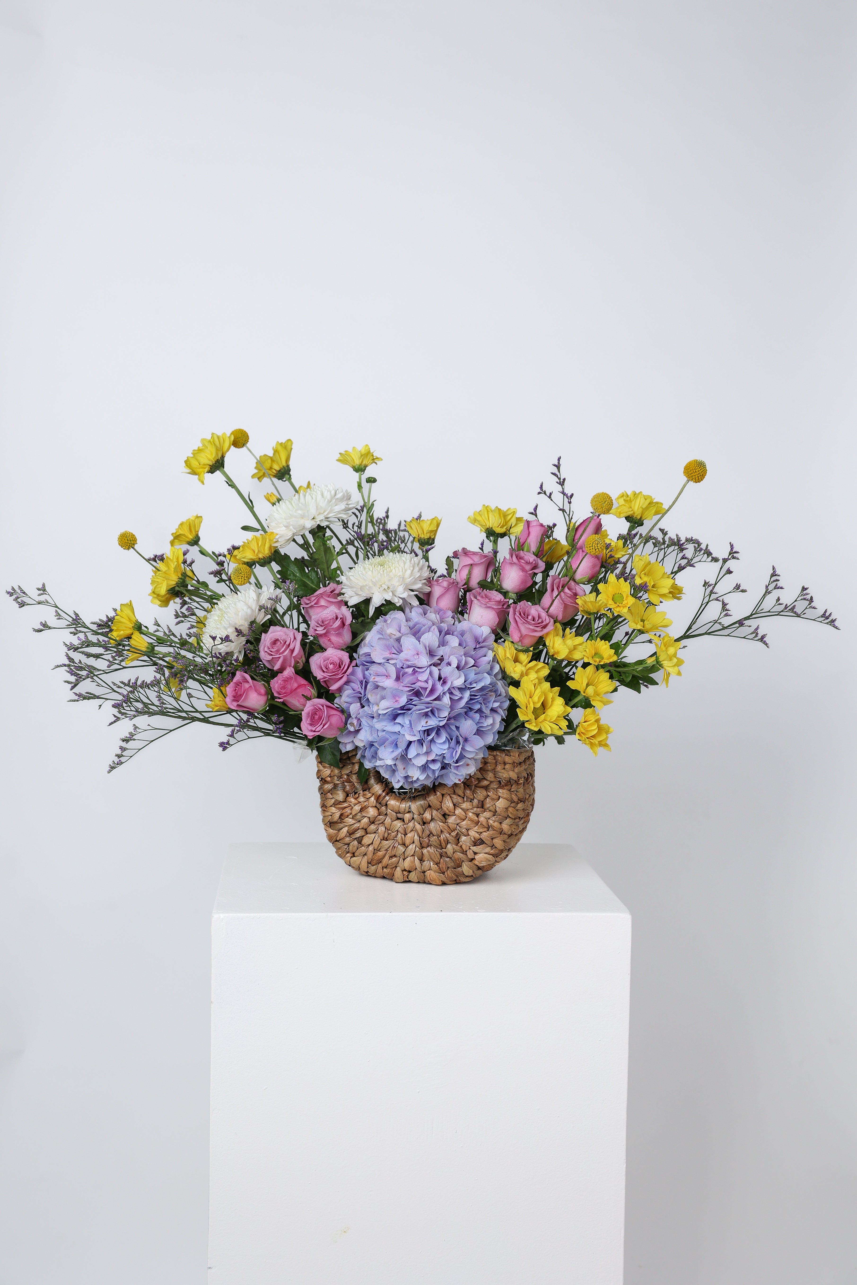 A Burst of Spring