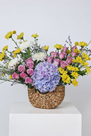 A Burst of Spring