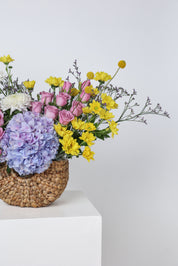 A Burst of Spring