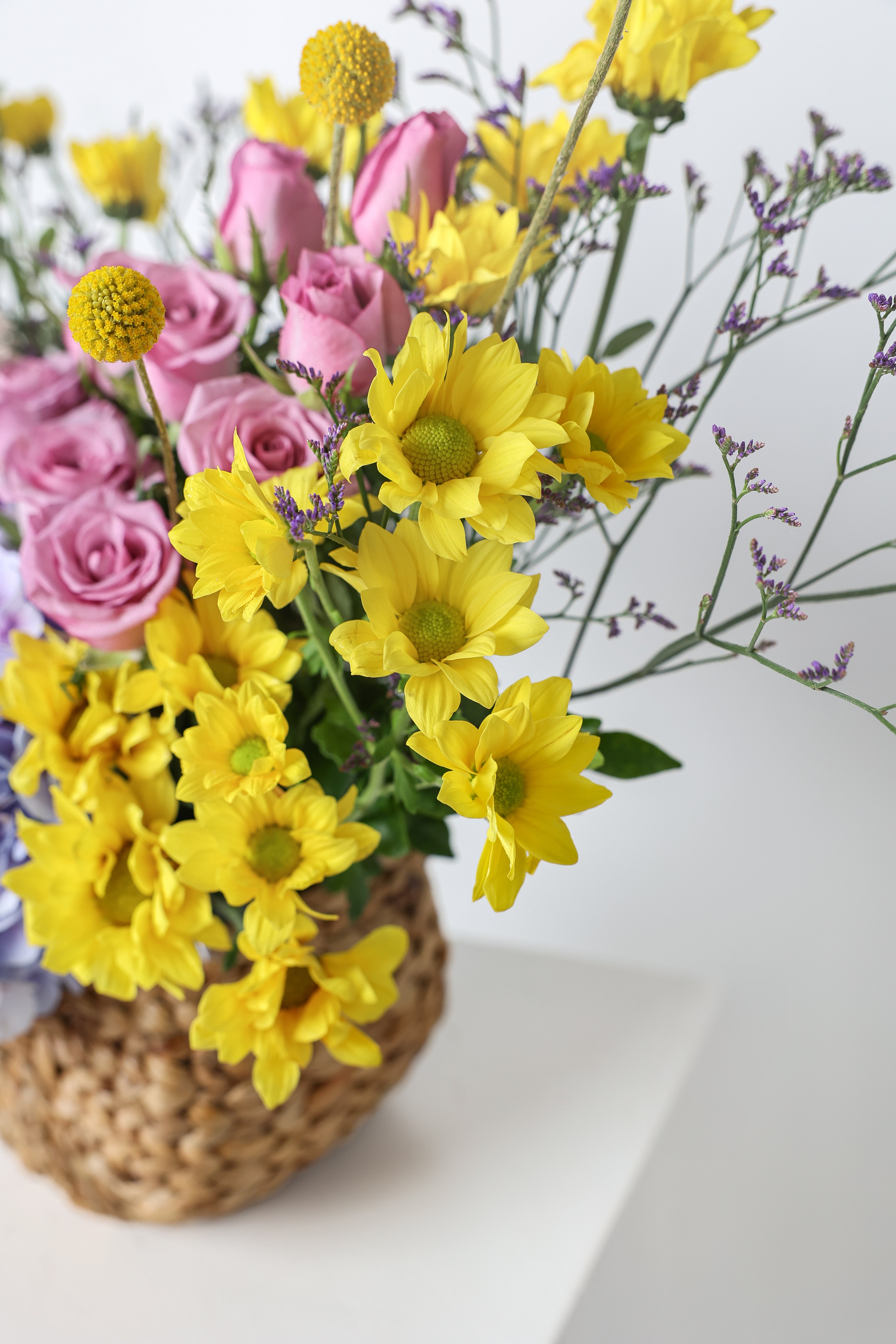 A Burst of Spring